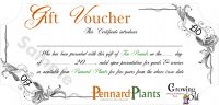 ''Gift Voucher �10 (Ten)'' , Gift Idea